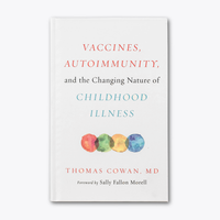 Vaccines, Autoimmunity, and the Changing Nature of Childhood Illness