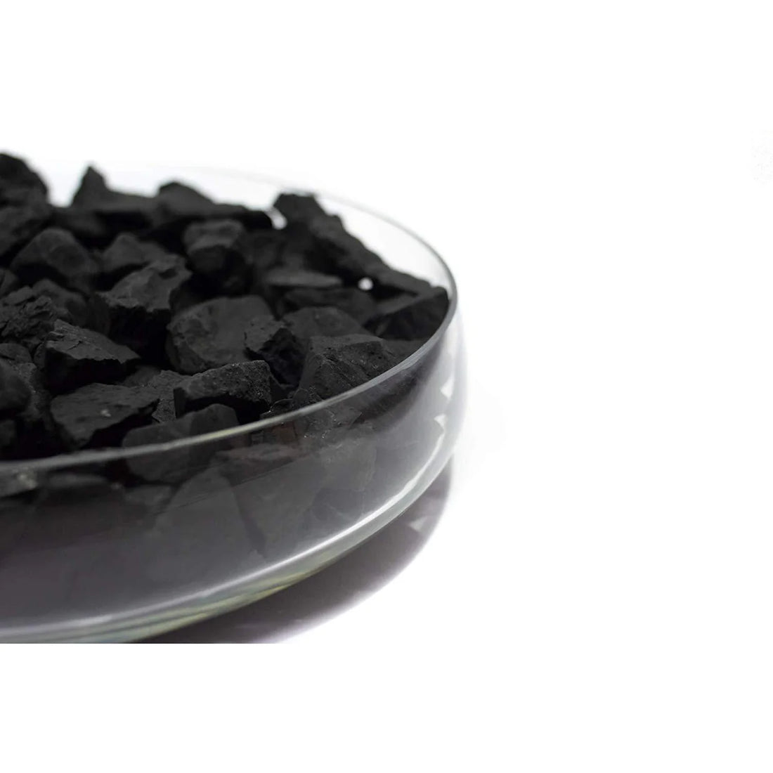 Shungite Living Water Kit