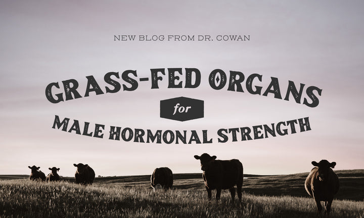 Grass-Fed Organs for Male Hormonal Strength