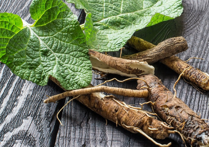 Healing Properties That You Need This Winter (Burdock Root and Ashitaba)